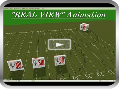 Real View Animation
