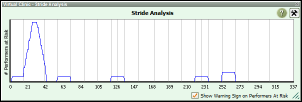Stride Analyzer